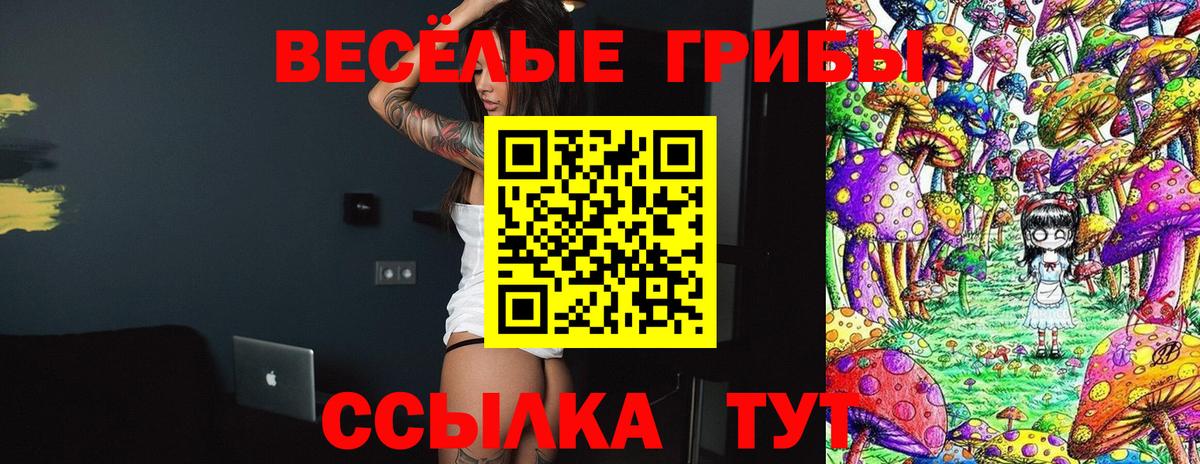 Псилоцибиновые грибы прущие грибы Калининград